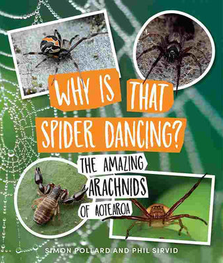 Why Is That Spider Dancing : The Amazing Arachnids of Aotearoa