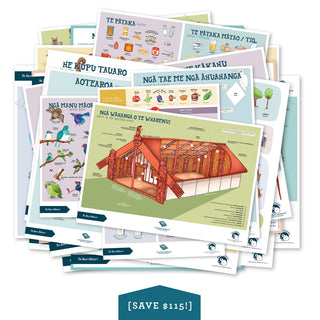 Te Reo Maori: Full Set of 15 Posters