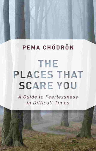 The Places That Scare You : A Guide to Fearlessness in Difficult Times