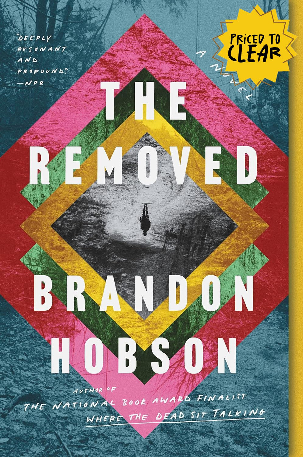 The Removed : A Novel