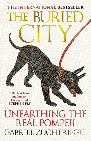 The Buried City : Unearthing the Real Pompeii