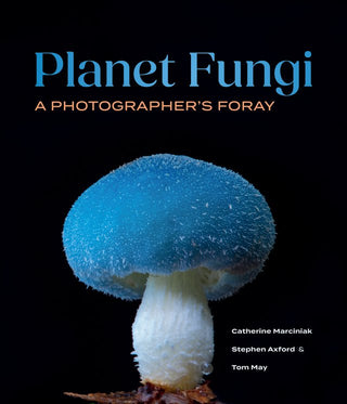 Planet Fungi : A Photographer’s Foray