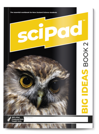 SciPad Big Ideas Book 2