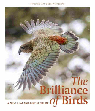 The Brilliance of Birds : A New Zealand Birdventure