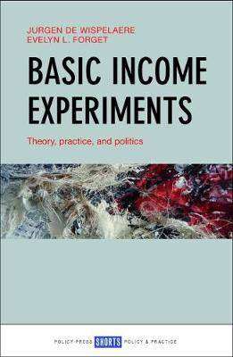 Basic Income ExAMADments : Theory Practice and Politics