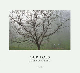 Joel Sternfeld : Our Loss