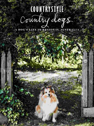 Country Dogs : A Dog-s Life in Regional Australia