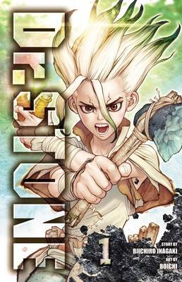 Dr Stone : Vol 1