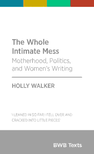 The Whole Intimate Mess : Motherhood Politics and Women-s Writing