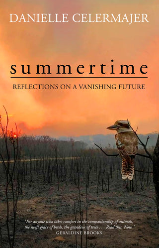 Summertime : Reflections on a Fractured Future