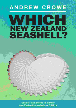 Which New Zealand Seashell