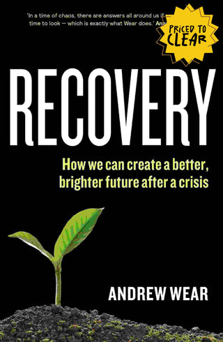 Recovery : How We Can Create a Better Brighter Future after a Crisis