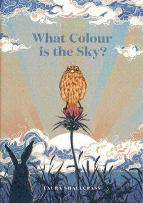 What Colour Is The Sky?