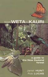 Weta to Kauri : A Guide to the New Zealand Forest