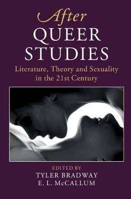 After Queer Studies : Literature Theory and Sexuality in the 21st Century