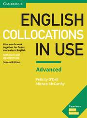 English Collocations in Use : Advanced