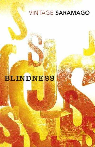 Blindness : Vintage Classics