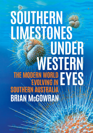 Southern Limestones under Western Eyes : The Modern World