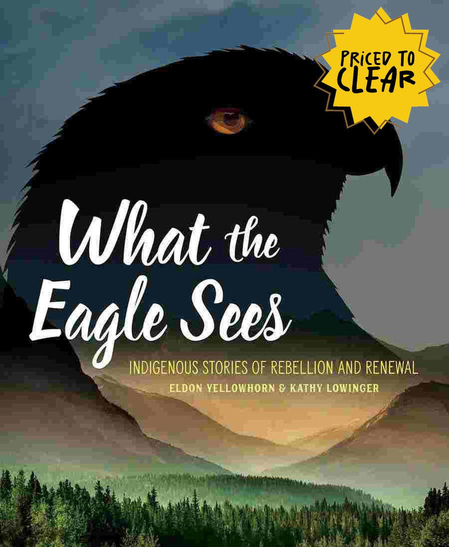 What the Eagle Sees : Indigenous Stories of Rebellion and Renewal