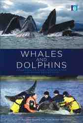 Whales and Dolphins : Cognition Culture Conservation and Human Perceptions