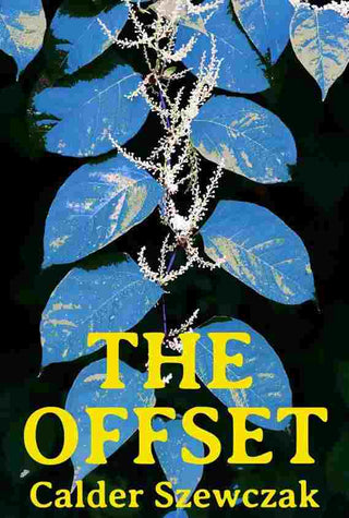 The Offset