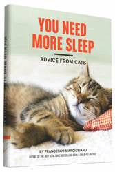 You Need More Sleep : Advice from Cats