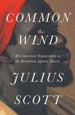 A Common Wind: Afro-American Organization in the Revolution Against Slavery