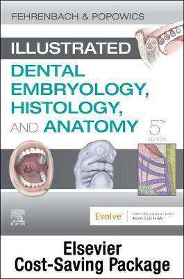 Illustrated Dental Embryology Histology and Anatomy : Text and Student Workbook Package