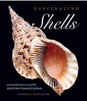 Fascinating Shells : An Introduction to 121 of the World-s Most Wonderful Mollusks