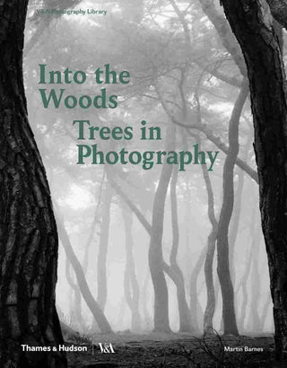 Into the Woods : Trees in Photography