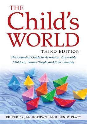 The Child-s World : The Essential Guide to Assessing Vulnerable Children Young People and Their Families