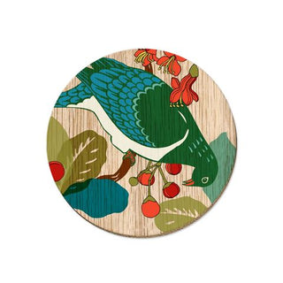 Kereru : Coaster