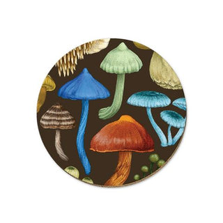 New Zealand Fungi Entoloma : Coaster