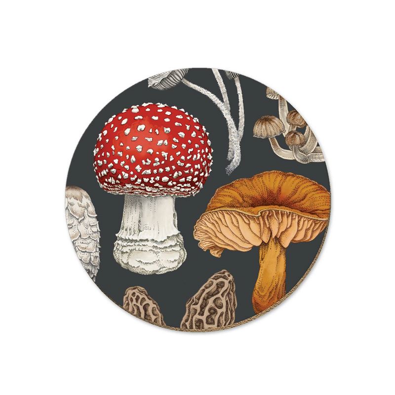 NZ Fungi Morchella : Coaster