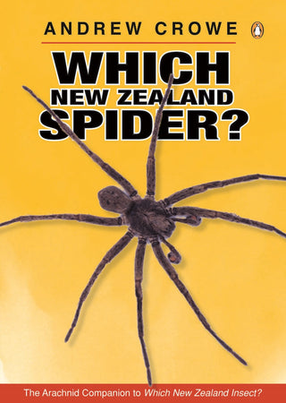 Which New Zealand Spider