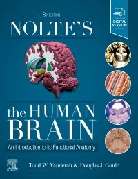 Nolte's The Human Brain : An Introduction to Its Functional Anatomy