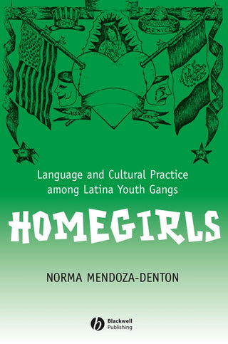 Homegirls : Language and Cultural Practice Among Latina Youth Gangs