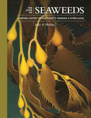 The Lives of Seaweeds : A Natural History of Our Planet-s Seaweeds and Other Algae