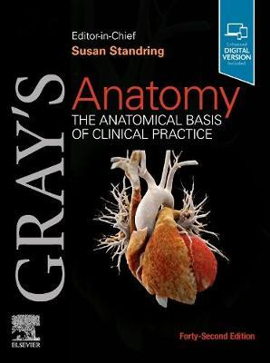 Gray's Anatomy : The Anatomical Basis of Clinical Practice