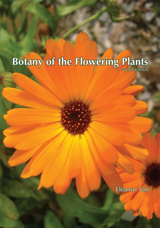 Botany of the Flowering Plants