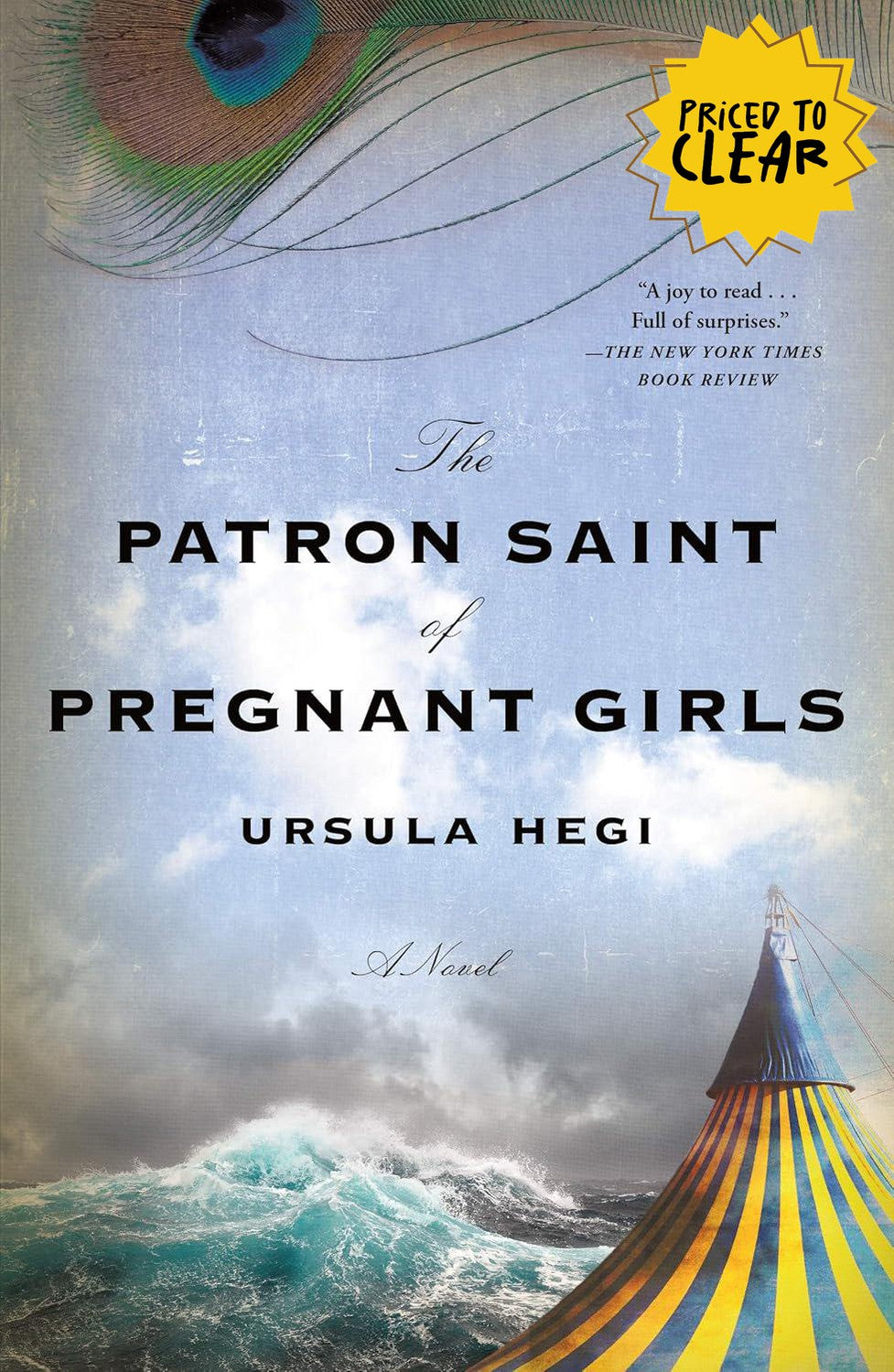The Patron Saint of Pregnant Girls : A Novel