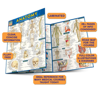 Anatomy - Reference Guide