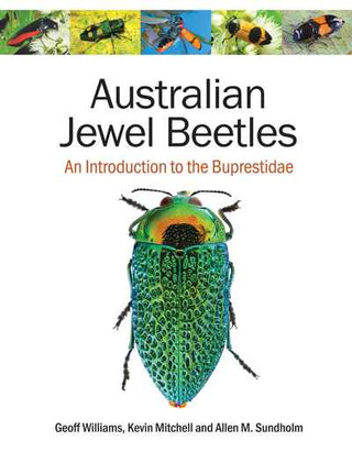 Australian Jewel Beetles : An Introduction to the Buprestidae