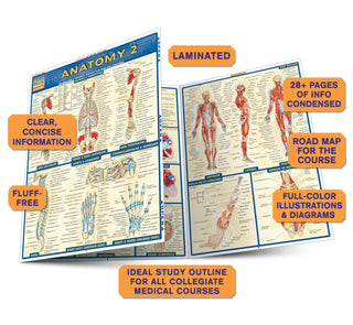 Anatomy 2 - Reference Guide