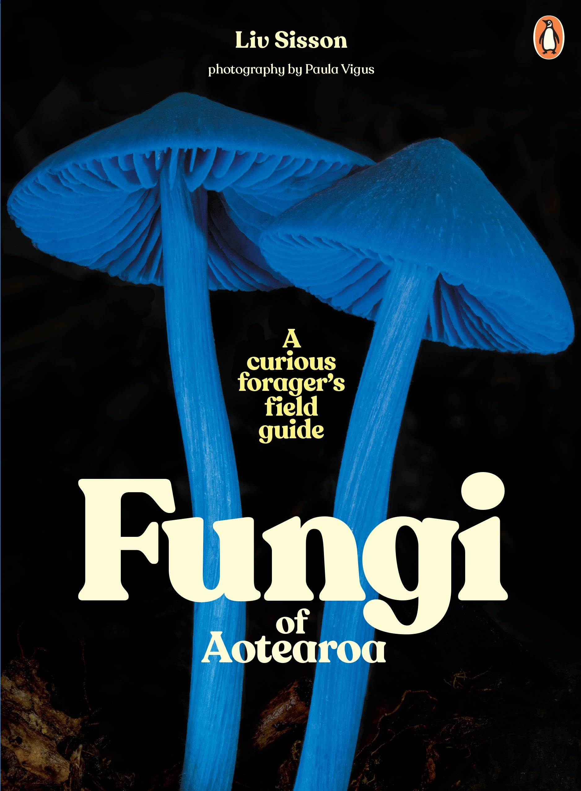 Fungi of Aotearoa : A Curious Forager's Field Guide