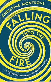 Falling into the Fire : A Psychiatrist's Encounters with the Mind in Crisis