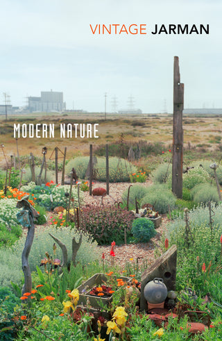 Modern Nature : The Journals of Derek Jarman