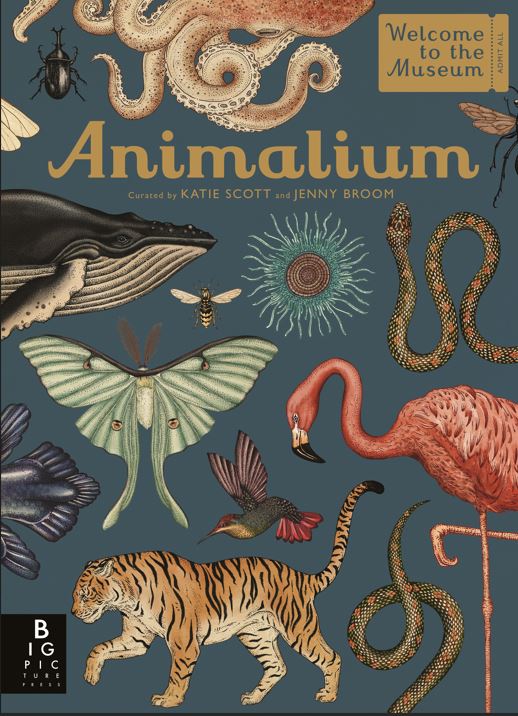 Animalium : Welcome to the Museum