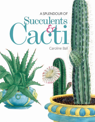 A Splendour of Succulents and Cacti