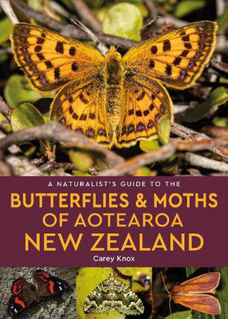 A Naturalist's Guide to the Butterflies and Moths of Aotearoa New Zealand